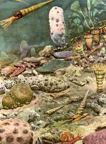 silurian ecosystem